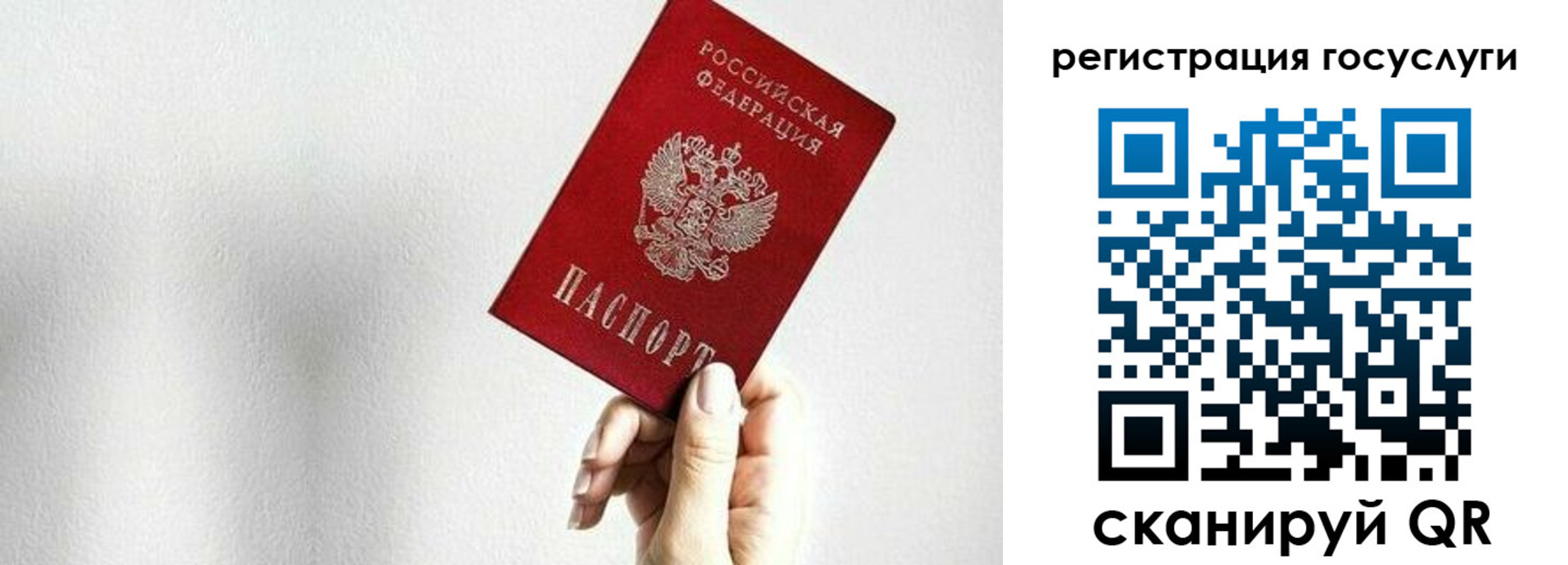 временная регистрация гарантия в Истре